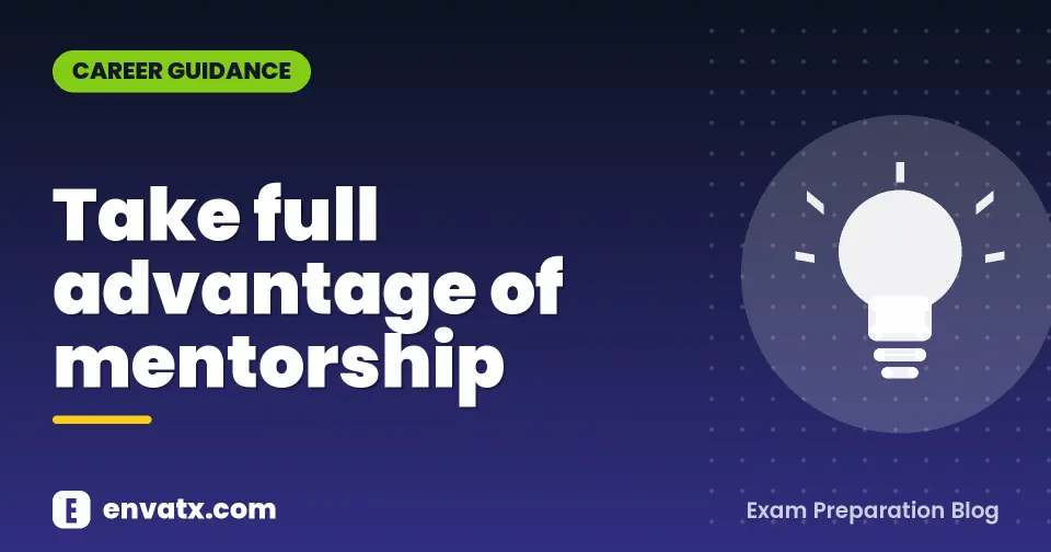 Take full advantage of mentorship